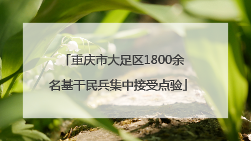 重庆市大足区1800余名基干民兵集中接受点验